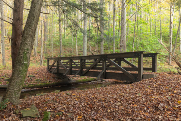 Bridge in Sizerville State Park along the Bottomlands Trail.