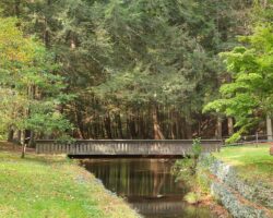 Exploring the Tranquil Sizerville State Park in the PA Wilds