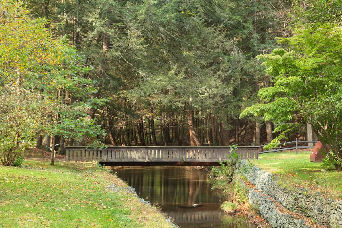 A bridge over a stream in Sizerville State Park in Cameron County PA