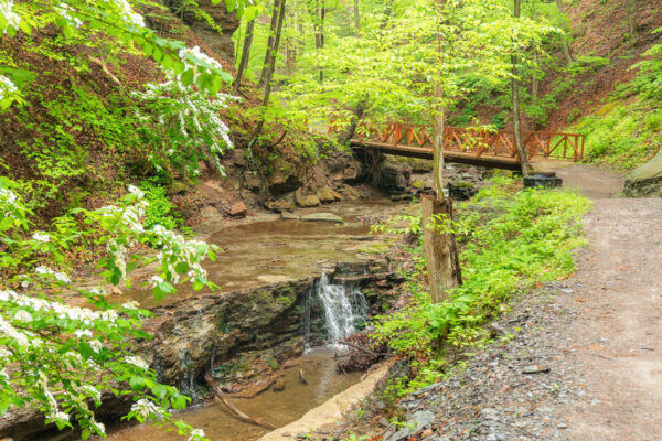 A small waterfall in the woods at Camp Guyasuta near Pittsburgh PA
