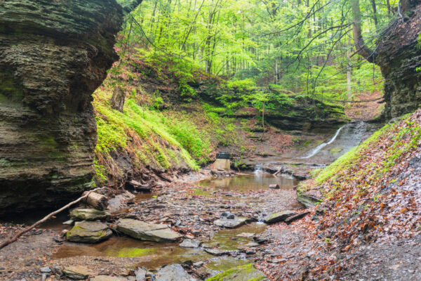 The scene around Washboard Falls at Camp Guyasuta in Pittsburgh PA