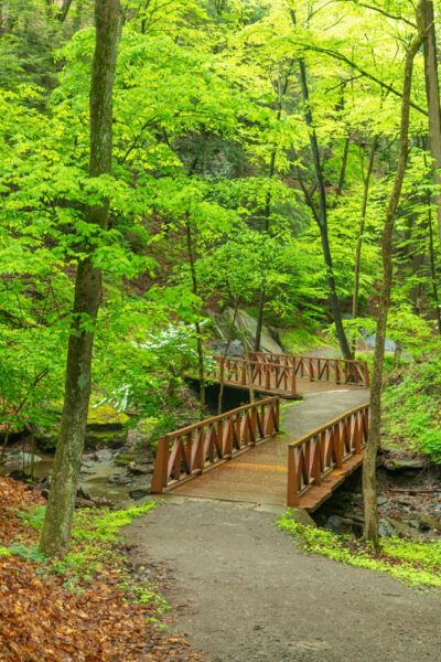 Bridge in the woods at Camp Guyasuta in Sharpsburg PA