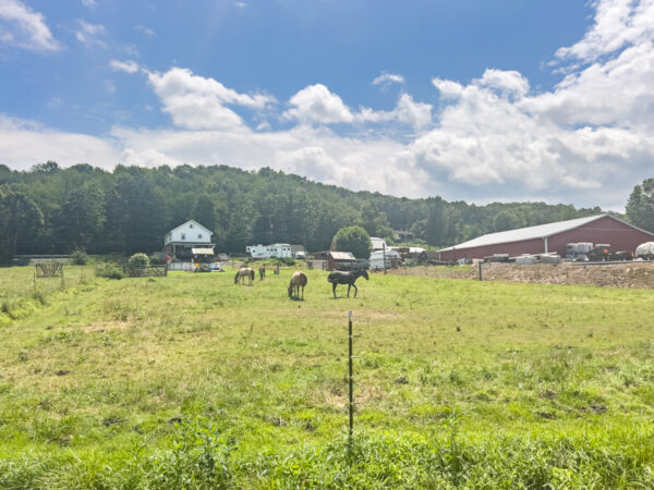 Farm with horses seen along the Everett Railroad ride in Blair County Pennsylvania