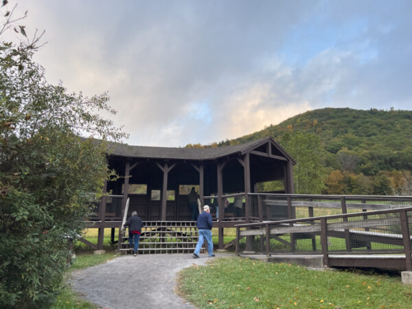 A man walks up to the The viewing platform at Hicks Wildlife Viewing Area in Cameron County Pennsylvania