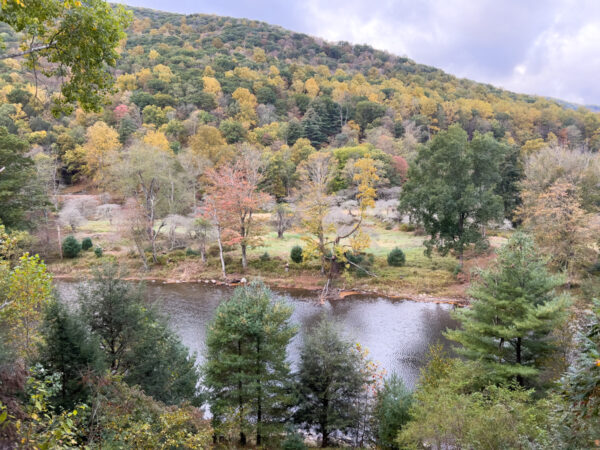 The view from the Miller Run Wildlife Viewing Area in Cameron County PA