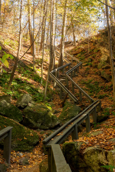 A staircase meanders through the fall foliage at Hawk Mountain Sanctuary in Berks County Pennsylvania