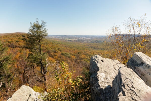View from North Lookout at Hawk Mountain Sanctuary in Schuylkill County PA