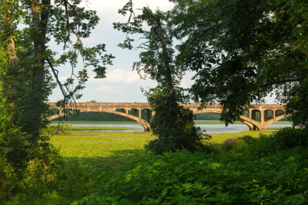 Looking through the trees towards Graffiti Bridge over Lake Ontelaunee