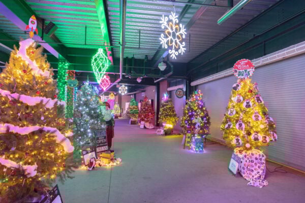 Lit up Christmas trees on the concourse at WellSpan Stadium during Bright Nights.