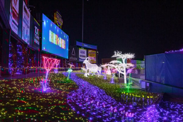 Lights set up like a forest scene on the grass at WellSpan Stadium in York PA