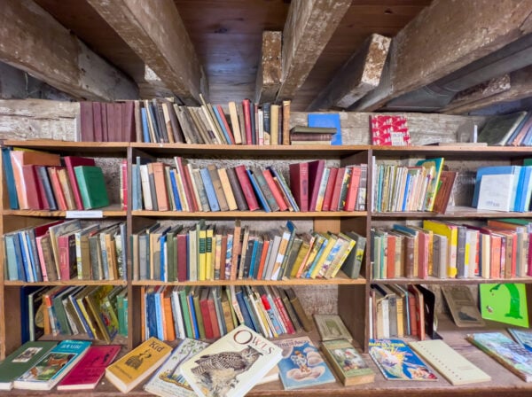 Shelves lined with Books at Baldwin's Book Barn in West Chester Pennsylvania