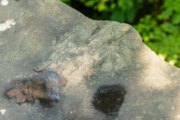 Dinosaur footprint in stone on the Gettysburg Battlefield in Adams County PA