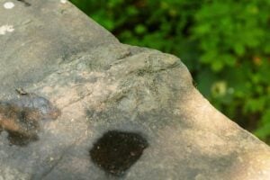 Finding the Hidden Dinosaur Footprints on the Gettysburg Battlefield