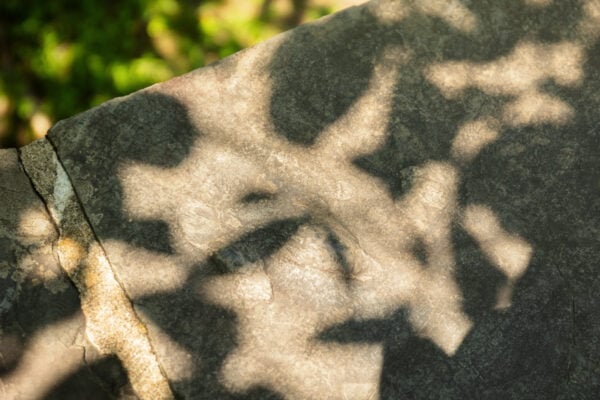 Two dinosaur footprints on a stone bridge in the Gettysburg Battlefield.
