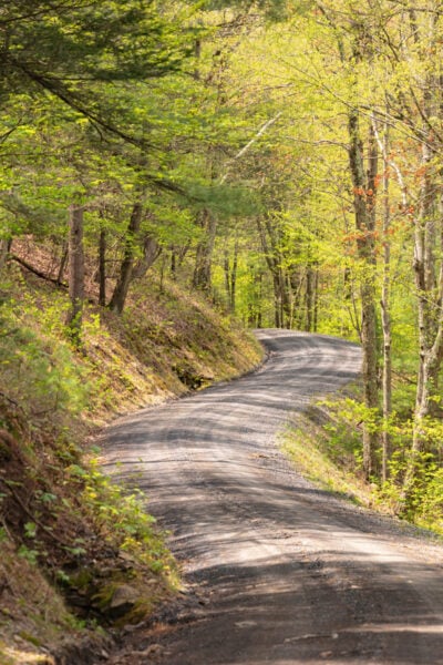 Forested gravel road through Bald Eagle State Forest in Snyder County Pennsylvania