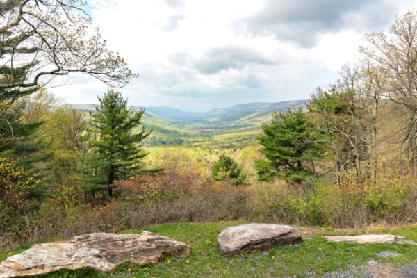 Scenic overlook along Locust Ridge Road in Bald Eagle State Forest in Pennsylvania