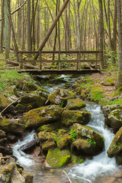 Small waterfall below a wooden bridge in the Snyder-Middleswarth Natural Area of Snyder County PA