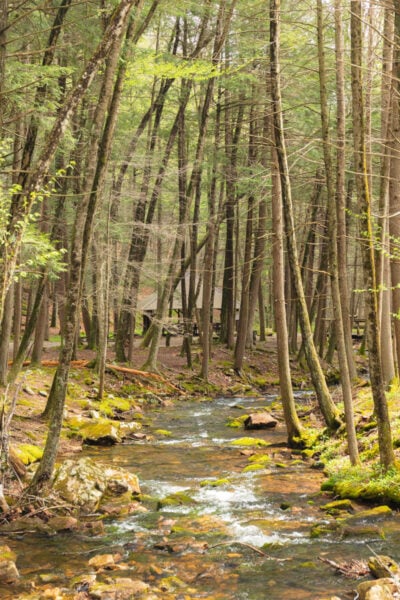 Swift Run flowing through the Snyder-Middleswarth Natural Area in Snyder County PA