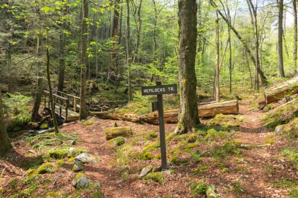 Hemlocks Trail sign in the forests of the Snyder-Middleswarth Natural Area in PA