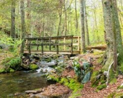 Hiking Through the Incredible Snyder-Middleswarth Natural Area