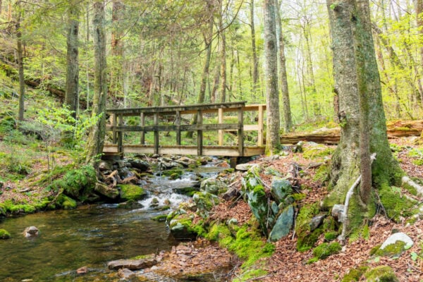 A bridge over Swift Run in the Snyder-Middleswarth Natural Area in Snyder County PA