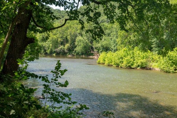Raystown Branch of the Juniata River along the River Trail Loop in Warriors Path State Park in Bedford County PA