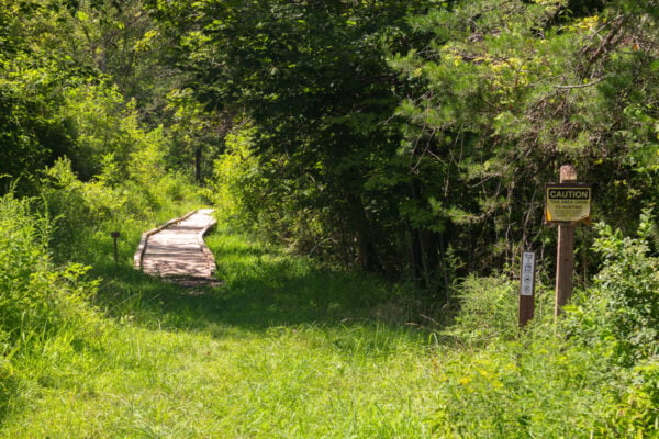 Boardwalk in the woods along the River Trail Loop in Warriors Path State Park.
