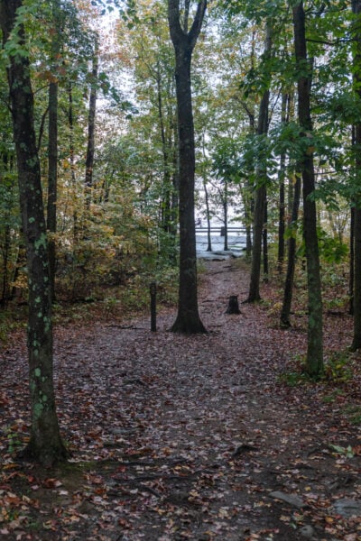 Trail through the trees to Baughman Rock in Ohiopyle State Park in the Laurel Highlands of PA
