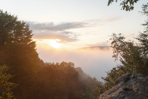 Sunrise on a foggy morning from Baughman Rock Overlook in Ohiopyle PA