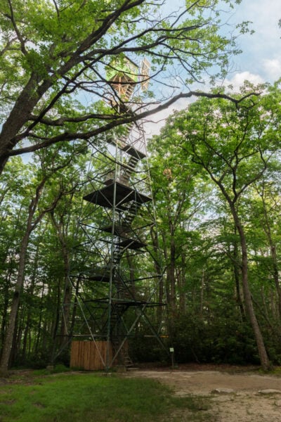 Looking up through the trees at the fire tower in Cook Forest State Park in Pennsylvania.