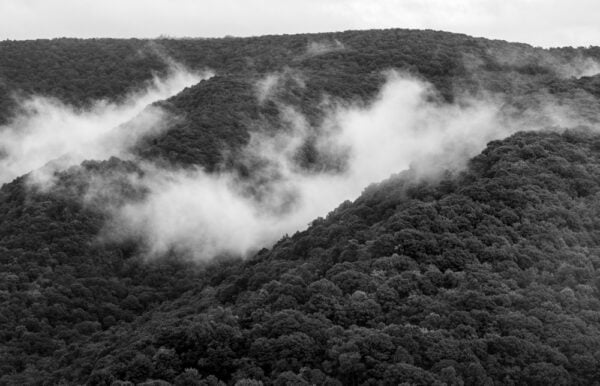 Black and white photo of fog between forested hillsides from Baughman Rock Overlook in Ohiopyle State Park
