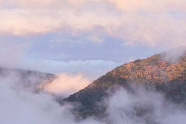 A foggy morning from Baughman Rock in Ohiopyle State Park in Pennsylvania