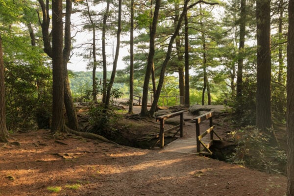 Trees surround a rocky outcropping and two wooden bridges at Seneca Point in Cook Forest State Park in PA