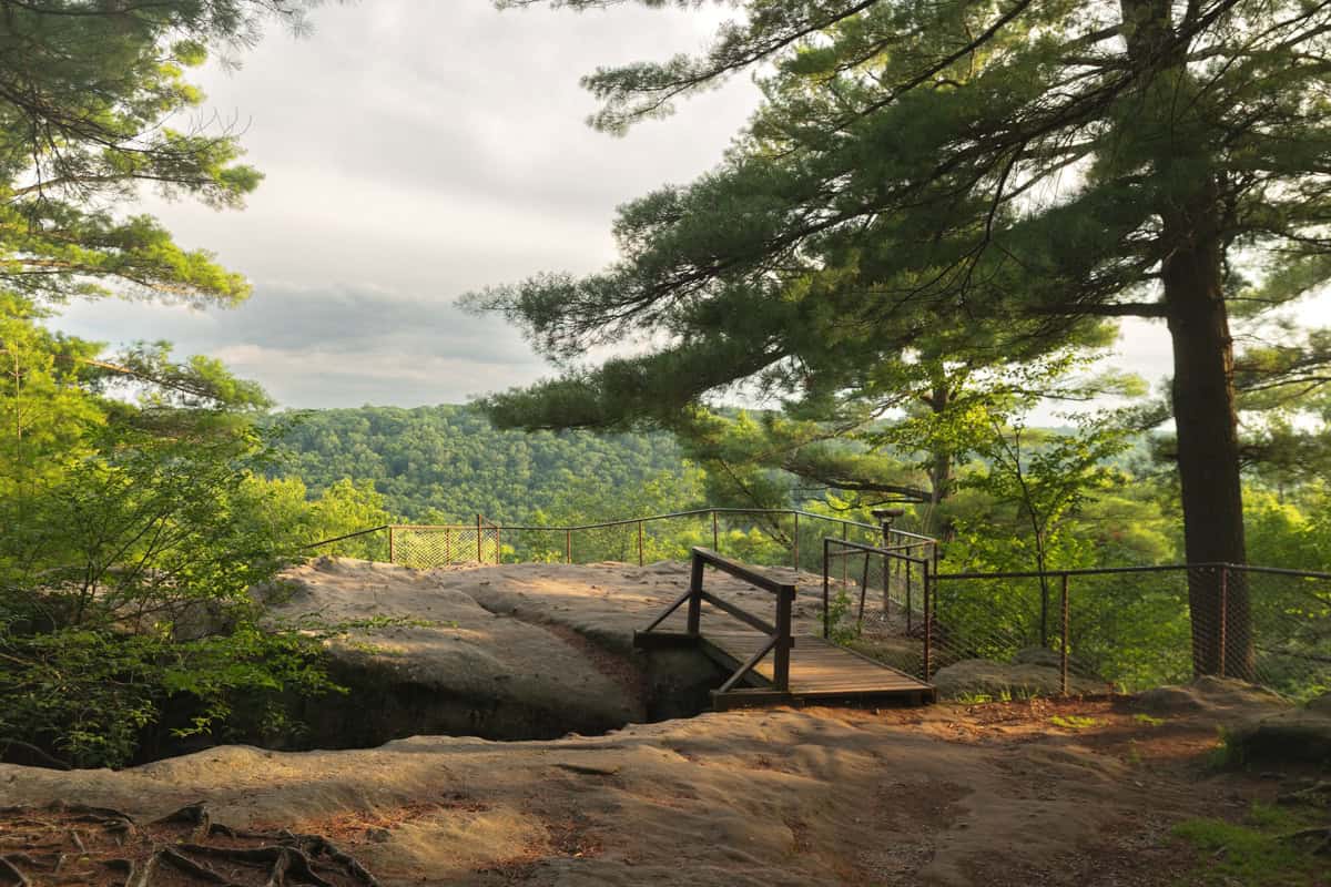 Exploring Seneca Point and the Fire Tower in Cook Forest State Park