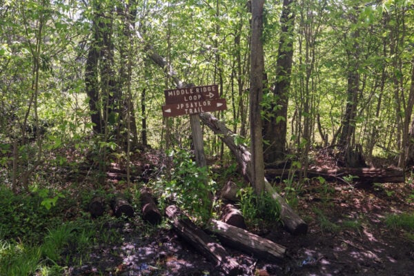The point where the Fishermans Path meets the John P Saylor Memorial Trail in Gallitzin State Forest in Somerset County Pennsylvania