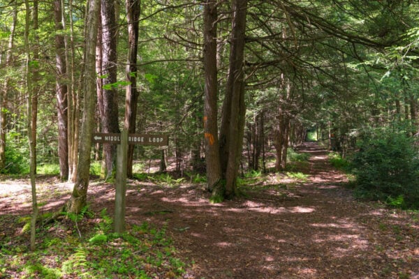 Sign in the woods that says Middle Ridge Loop in the Clear Shade Wild Area of Somerset County PA