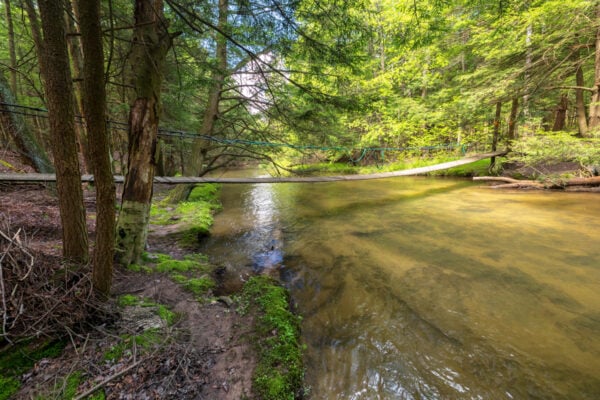 A wider view of the suspension bridge crossing Clear Shade Creek in Gallitzin State Forest in PA