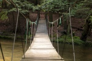 Hiking to the Swinging Bridge on the John P Saylor Trail in Somerset County
