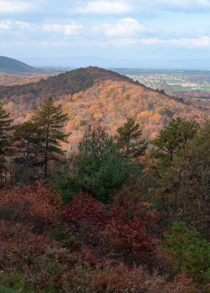Late autumn view of trees from the mansion at Kings Gap EEC in Cumberland County PA