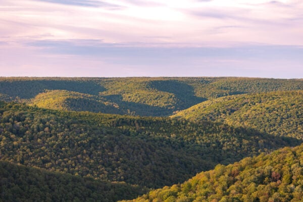 The view from Losey Vista, one of several roadside overlooks in Potter County PA