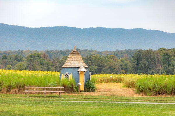 A gourd cottage in front of a flower field at Meadowbrooke Gourds in Carlisle, PA
