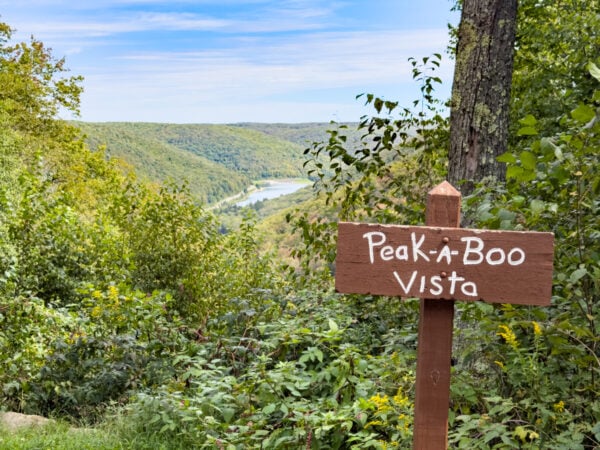 Sign reading Peek-A-Boo Vista in front of a lake and mountains in Potter County Pennsylvania