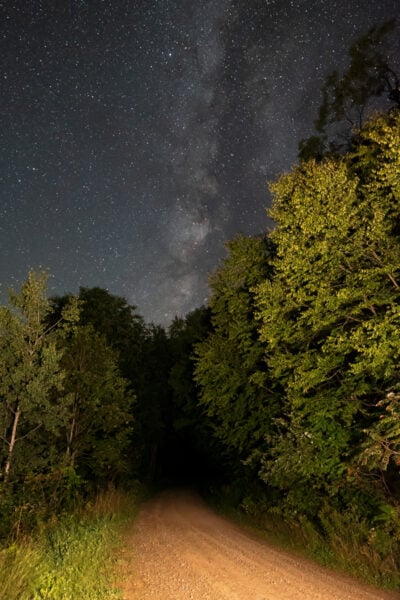 Forest roadway into the woods below the Milky Way at Boone Run Vista in Potter County.
